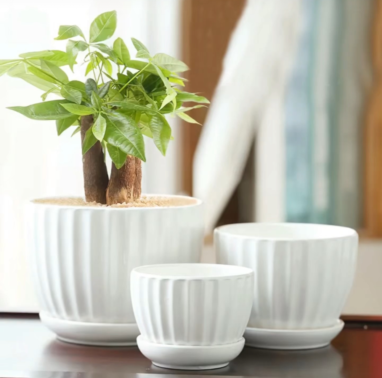 Macetero ceramica