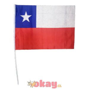 Pack de banderitas chilenas 45x30 12unidades - Imagen 2