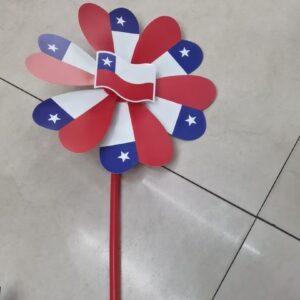 Remolino de Chile - Imagen 1